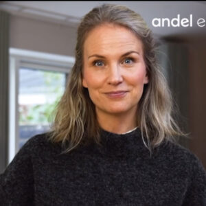 Andel Energi